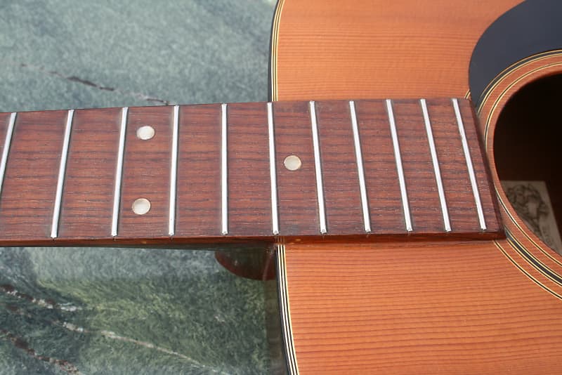 Elite Takamine アコースティックギター F120 ナチュラルウッド