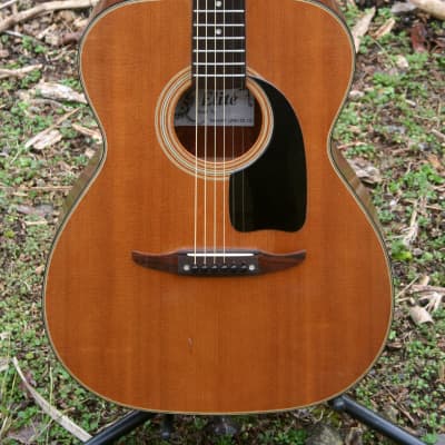 ファッション TAKAMINE ELIte ギター アコースティックギター - www