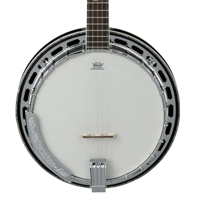 Ibanez B300 Closed Back Walnut 5-String Banjo | Reverb