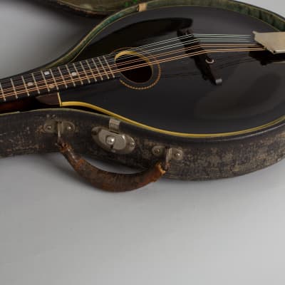 Gibson  Style A-1 Snakehead Carved Top Mandolin (1925), ser. #78901, original black hard shell case. image 12