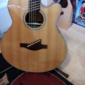Ibanez aelff10 top