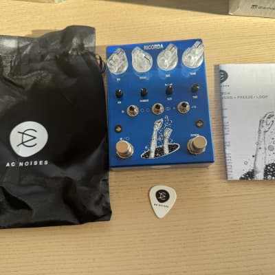 AC Noises Ricorda | Reverb