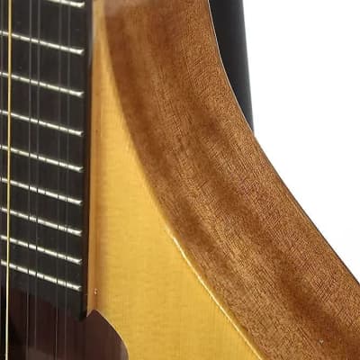 Gold Tone BZ-500 Folkternative Design Solid Spruce Top Irish Bouzouki Mandolin w/Hard Case - B-Stock image 2