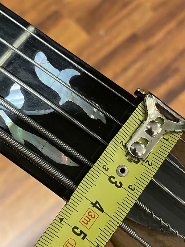 Raven West Guitars RBS 5500 LEFTY 5 STRINGS | Reverb