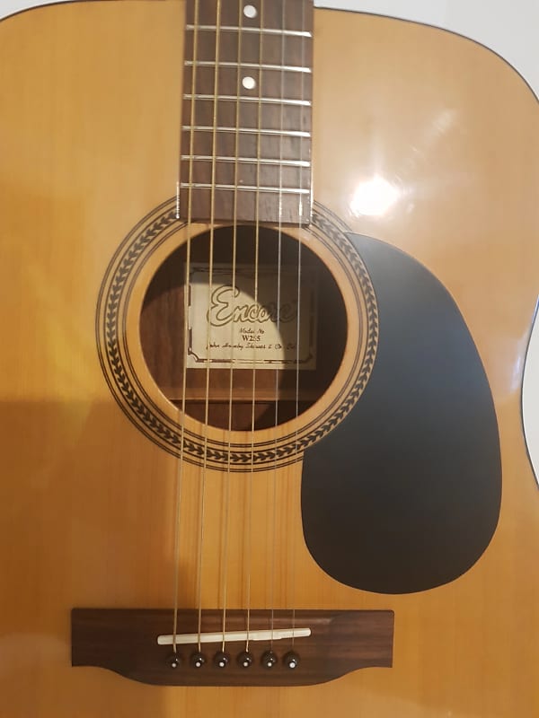 Encore deals w255 guitar