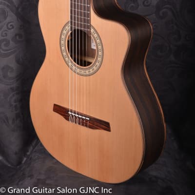 CAMPS CW-1 Crossover / Fusion Electroacoustic nylon string guitar image 8