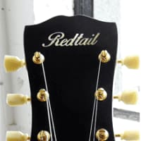 Redtail Guitar Shop