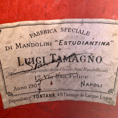 Mandoline Luigi Tamagno de 1907 image 8