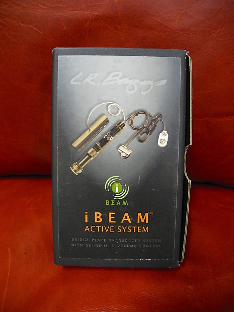 L.R. Baggs iBeam Active System