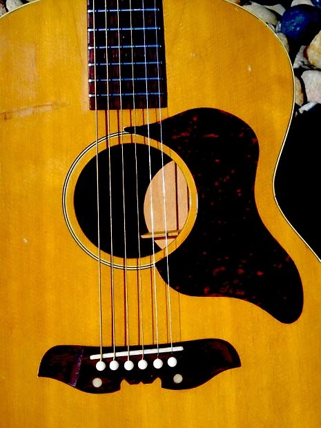 Mosrite acoustic sales guitars