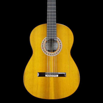 Graciliano Perez flamenco guitar "negra" Cedar + Indian Rosewood 2022 image 2