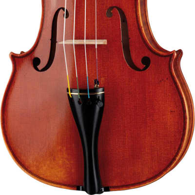 Suzuki Violin No. 1100 