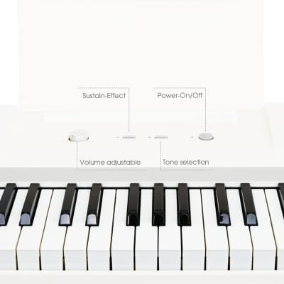 Keyboard Piano, 61 Key Piano Keyboard For Beginner/Professional, Electric Piano W/Lighted Keys, Music Stand & Piano App, Supports Usb Midi/Audio/Microphone/Headphones/Sustain Pedal image 4