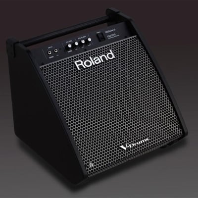 Roland PM-200 180-Watt Personal Drum Monitor image 3