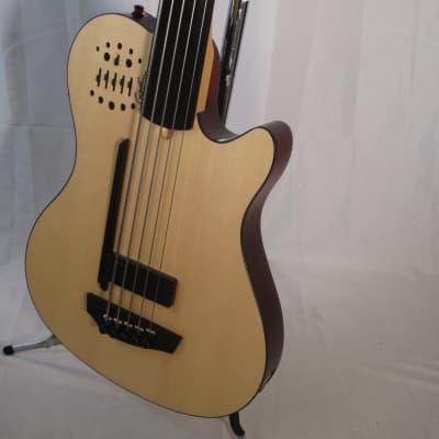 Godin 050789 A5 Ultra 5-String Fretless Bass with bag image 6