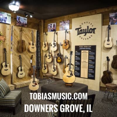Taylor GS Mini-E Special Edition Cosmic Blush Paisley Acoustic-Electric Guitar (demo) image 21