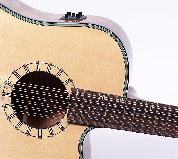Washburn D46SCE12 12 String Electric Acoustic Guitar With Case