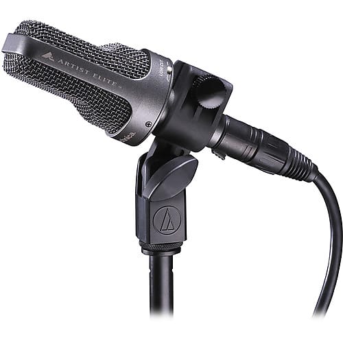 Audio Technica AE-3000 Large-Diaphragm Cardioid Instrument Microphone image 1