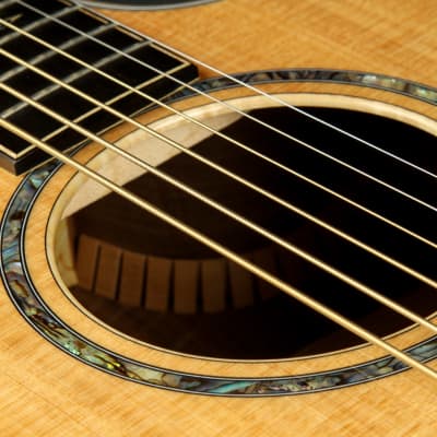 Taylor Custom GS Baritone - Torrefied Sitka Spruce/Laurelwood image 20