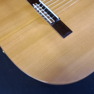 Admira Virtuoso ECF Cutaway Acoustic Electric Nylon String Classical Guitar Made in Spain image 7