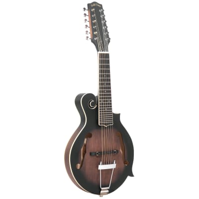 Gold Tone F12 12-String Mando-Guitar w/ Case image 1