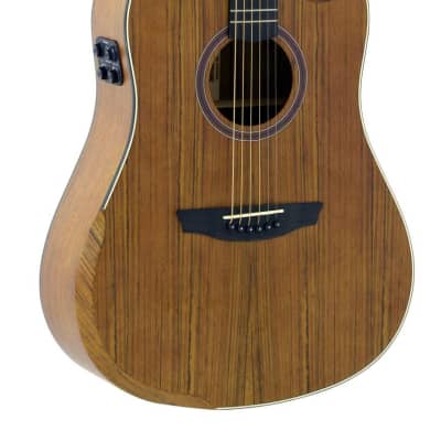 Vintage Elfolk EFG-350 Acoustic Guitar w/Built in Amplifier