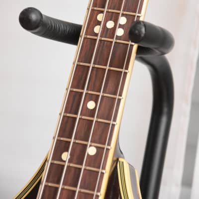 Heinz Seifert Favorit Teardrop – 1950s Migma German Vintage Archtop Semi Hollow Bass Guitar / Gitarre image 11