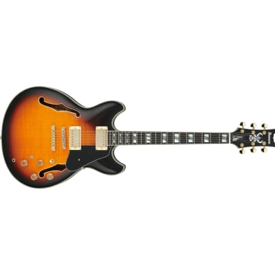 Ibanez JSM10VYS John Scofield Signature Guitar w/Case - Vintage Yellow Sunburst image 3