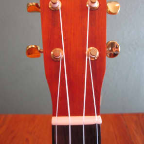 Lanikai LM-C  mahogany concert ukulele image 5