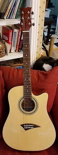Dean aep discount acoustic electric guitar