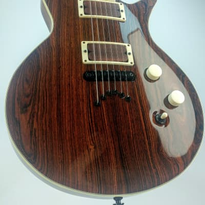 Benavente 2K Custom  T-Rex Guitar image 5