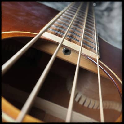 Morgan Monroe Creekside MVAB-500 Acoustic Bass image 11