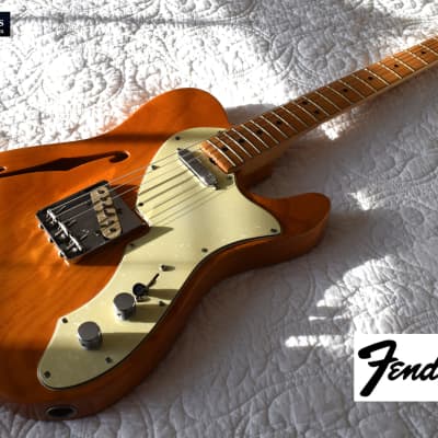 Fender Telecaster Thinline 1969  Original Natural Finish On Ash, 6.4 lbs. image 19