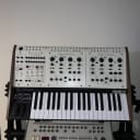 Oberheim 2022 Two Voice Pro Special Edition #4/10