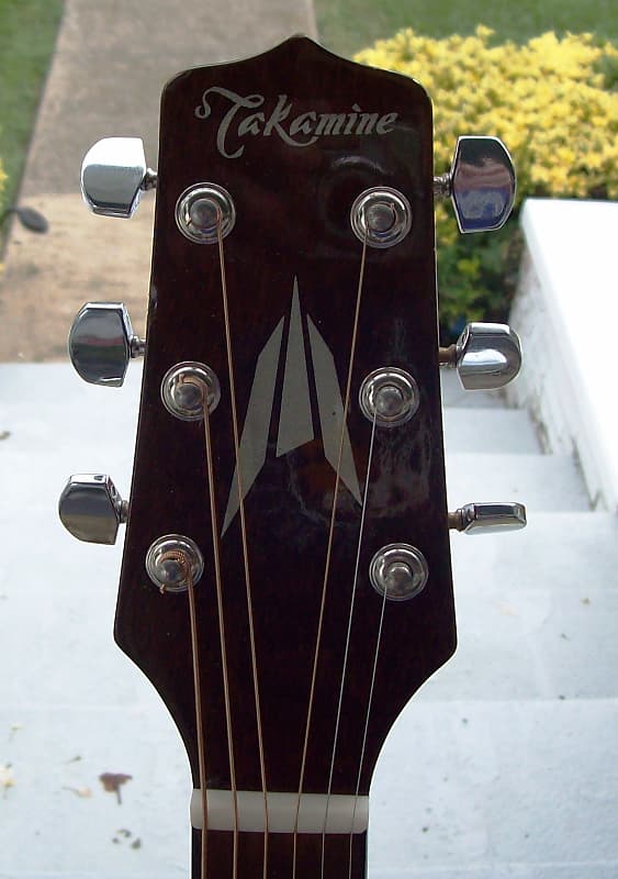 Takamine T-1BS