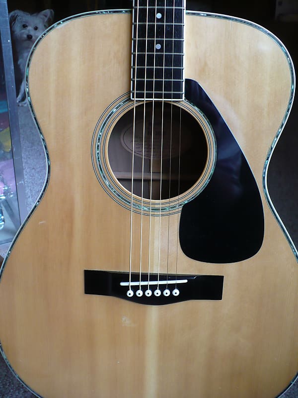 1980 Yamaha FG302D, very rare parlor acoustic in stunning