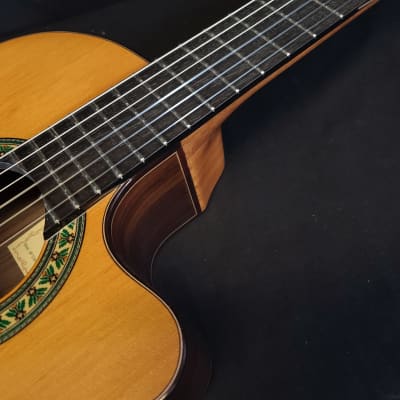 Alhambra 5P-CW-E1 Cutaway Acoustic Electric Classical Guitar w/Gig Bag image 5