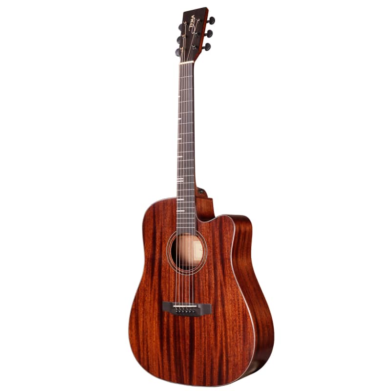 Caraya F521-N Acoustic Guitar