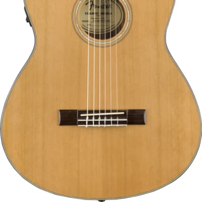 VERY RARE Fender Model FC-40 Classical 6 String Acoustic Guitar and Case |  Reverb