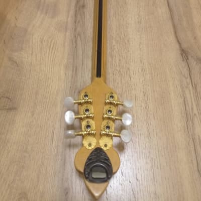 Greek Bouzouki Six String & pickup & hardcase & 300 backing track with pdf scores image 9
