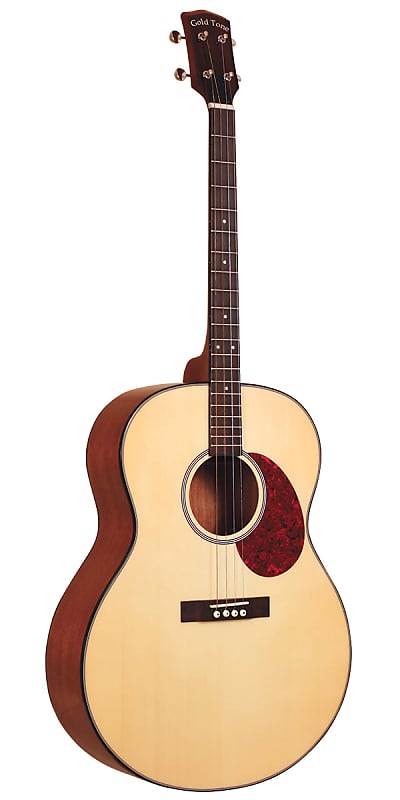 Gold Tone TG-10 Mahogany Neck 4-String Acoustic Tenor Guitar with Gig Bag image 1