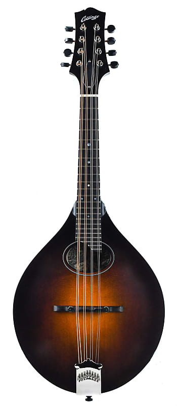 Collings shop mto mandolin