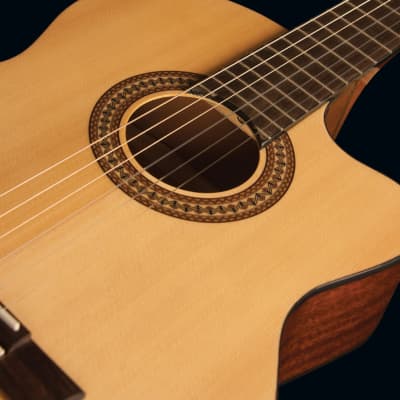 Jasmine JC25CE Cutaway Classical Acoustic Electric Guitar image 10