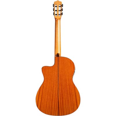 Cordoba 12 Natural Cedar Top Classical Acoustic-Electric Guitar image 4
