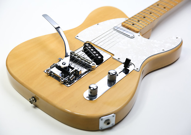 Stetsbar telecaster store