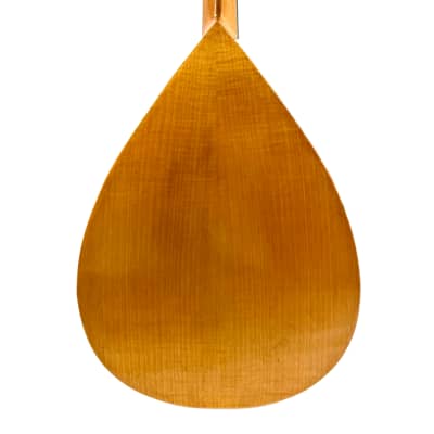 Concert Mandolin Flat-Back Emanuele Egildo N°840 from 1927 image 12