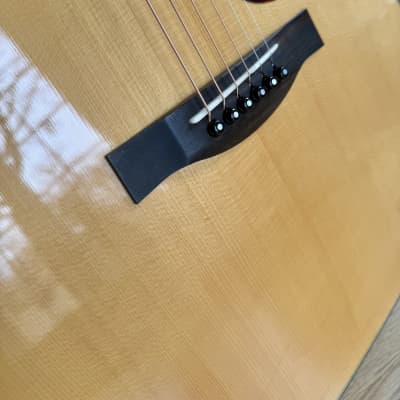 Santa Cruz Model D-PW Custom Cocobolo image 12