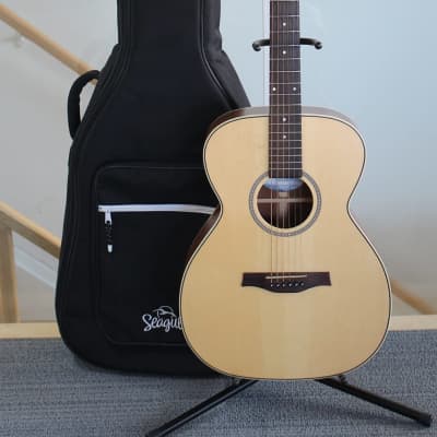 2000's Seagull Maritime Concert Hall SWS SG Acoustic Guitar w/Soft Case for sale