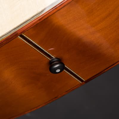 Santa Cruz OM Custom - Old Growth German Spruce & Ancient Kauri 2024 image 19