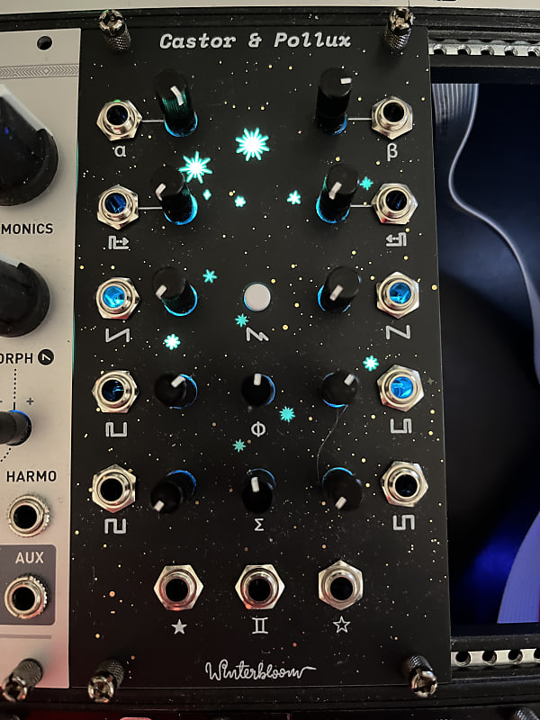 Winterbloom Castor and pollux Reverb